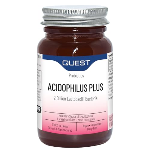 Fox Searchlight The Namesake DVD